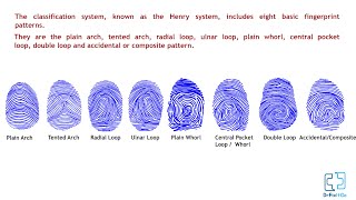 Fingerprint Dactylography Animation Forensic Medicine Identification