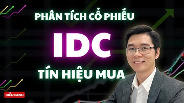 Phân Tích Cổ Phiếu IDC: Đã Có Tín Hiệu Mua Mạnh? Chiến Lược Giao Dịch