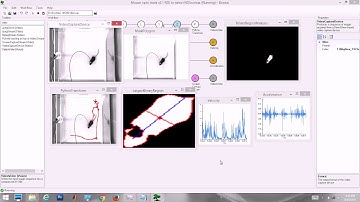 Open field tracking using Bonsai (Individual nodes)
