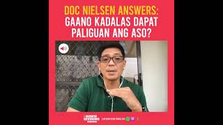 DOC NIELSEN ANSWERS: Gaano kadalas dapat paliguan ang aso? | The Howie Severino Podcast