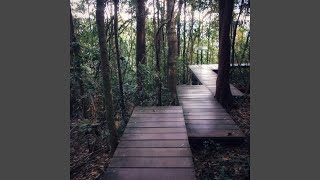 Tranquility Review