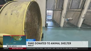 Medley pet shelter gets fans