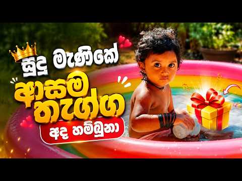 සුදු මැණිකේ ආසම තැග්ග අද හම්බුනා 😊😁 ( සැමන් කිරි දලා බොන්චි හදලා ගොටුකොල මැල්ලුම )