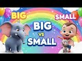 Big vs Small Song for Kids 🐘🐭 | Learning Opposites | 3D Cartoon Nursery Rhymes
