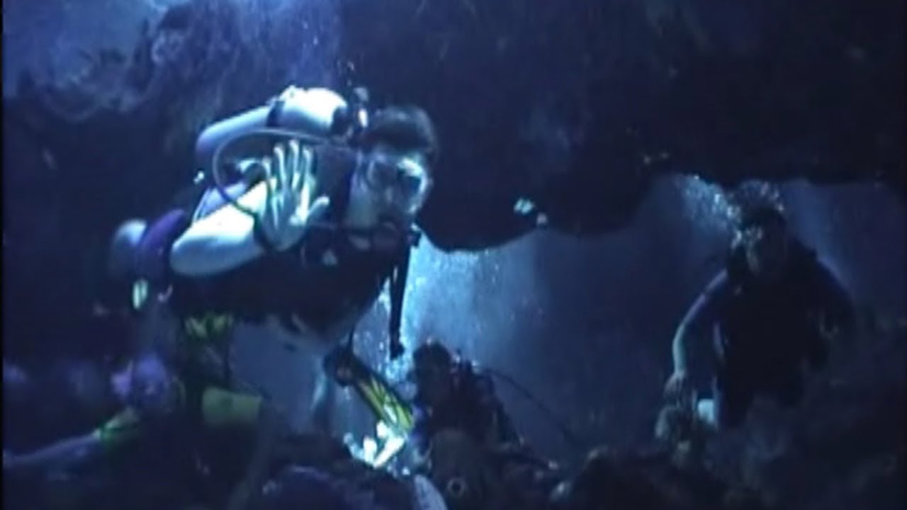 EPCOT Dive Quest SCUBA Diving at the Living Seas Pavilion YouTube