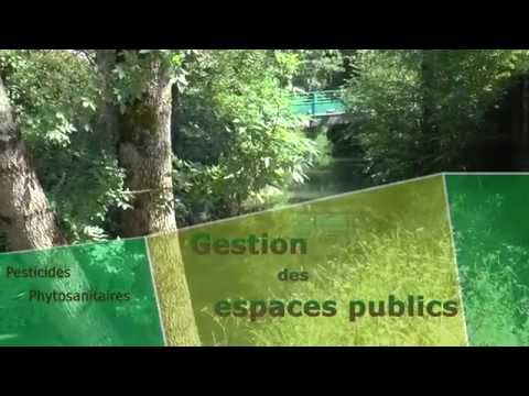 Vidéo: Concevoir Des Espaces Publics