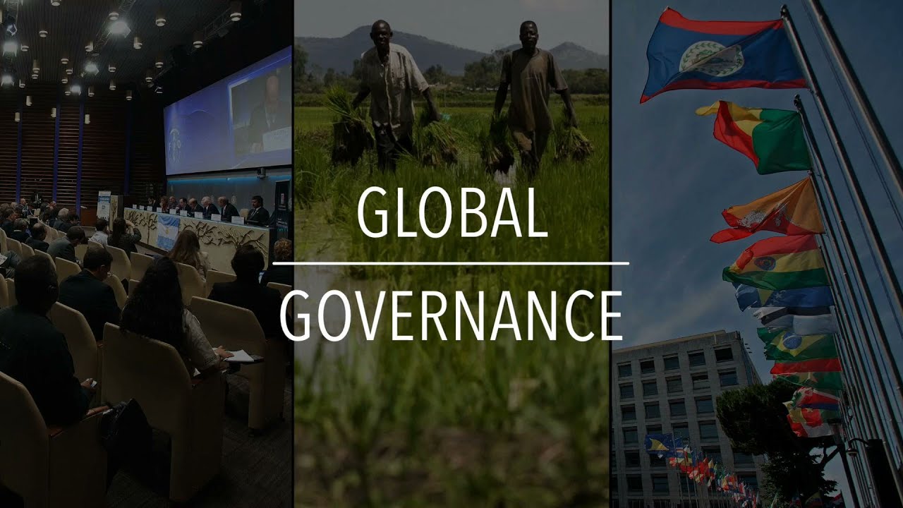 FAO Policy Series: Global Governance