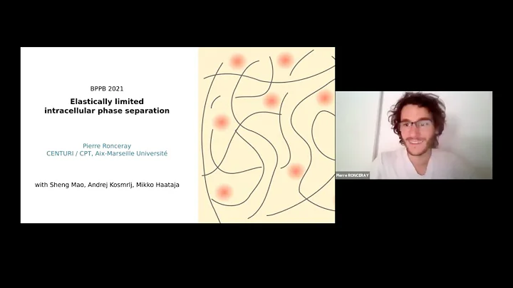 Pierre Ronceray: Elastically limited liquid-liquid phase separation inside cells - DayDayNews