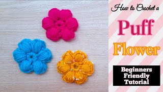 Crochet Puff Flowers Step-by-Step Guide for Beginners