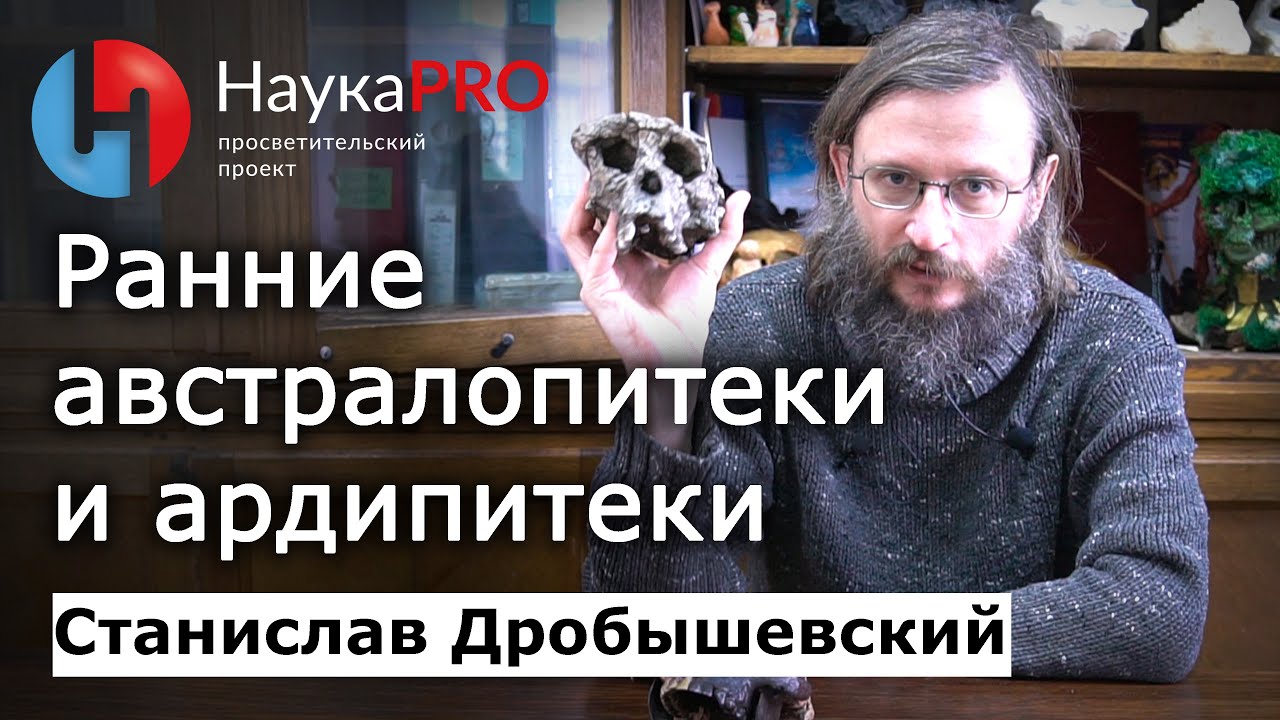 Ранние австралопитеки и ардипитеки – Станислав Дробышевский | Лекции по антропологии | Научпоп
