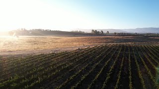 Temecula Valley Wine Country by Real Exposure Photography 10 views 2 years ago 2 minutes, 22 seconds