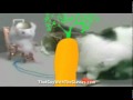 Nostalgia Critic I M A Carrot