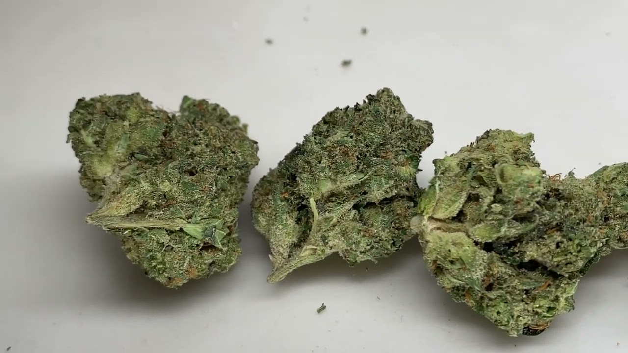 Floracal Air Gelato #23 Review