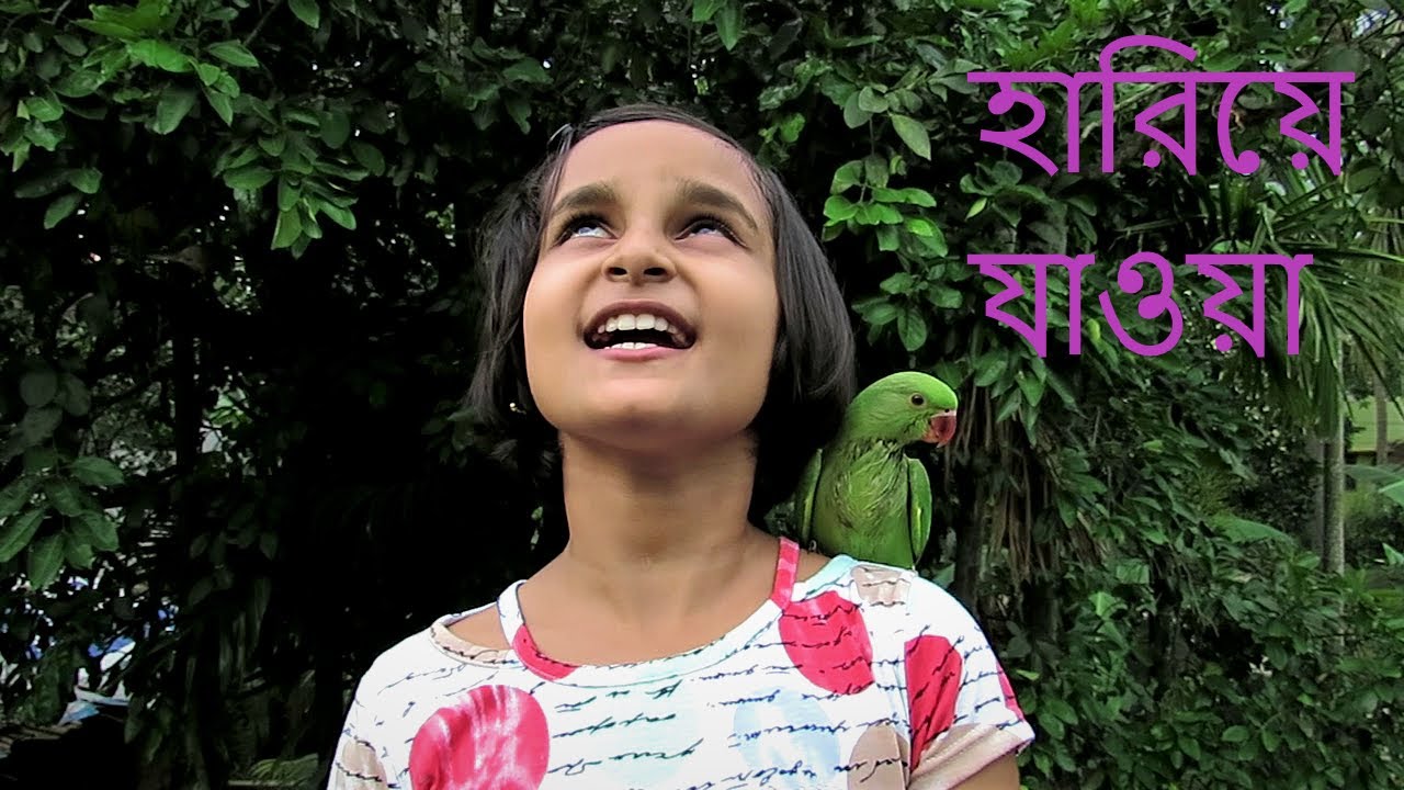 AbrittiHariye jaowa  Bangla kobita by Anuska Rabindranath Tagore poem popular poetry recitation