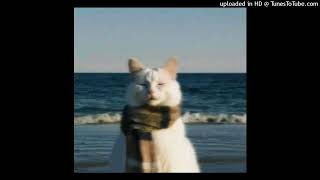 "nocturnal" - Bonobo, Boards of Canada, Downtempo Type Beat