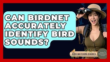 Can BirdNET Accurately Identify Bird Sounds? - Bird Watching Diaries