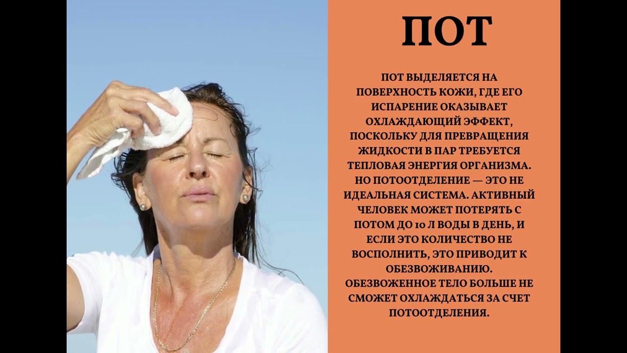 Жара и здоровье человека