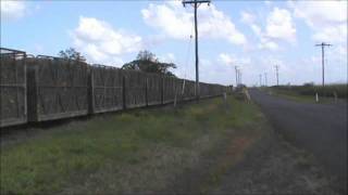 Cane Train Moving Full Bins [SD]