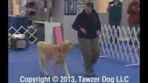 Rally Freestyle Elements: Intermediate and Advanced - Julie Flanery