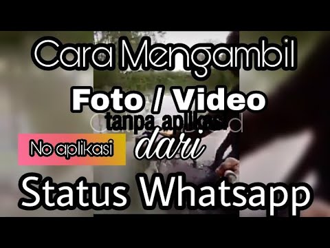 cara-mengambil-di-status-orang-di-wa!!!tanpa-aplikasi