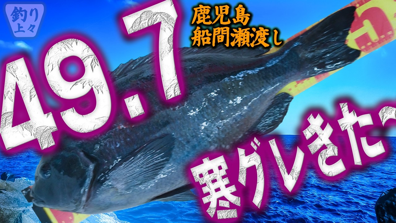 【巨グレきた！】 / 最後の１投で釣れた/ポイント名はハチガセだと思います/ #寒グレ がデカすぎました/鹿児島県 #内之浦 #船間漁港 から #瀬渡し船さえ丸 で #ふかせ釣り してきました。