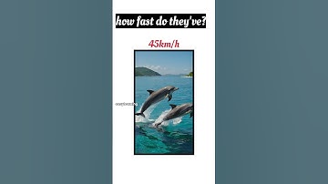 🐆HOW FAST DO THEY MOVE?#easylearning #shortsfeed ##watchtillend #2025