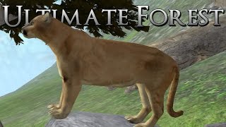Prowling the Forest for Prey!! • Ultimate Forest Simulator screenshot 3