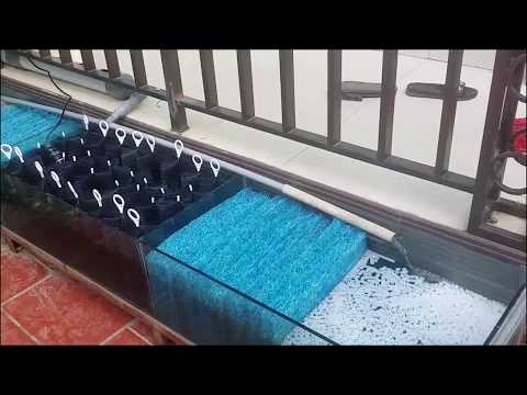 Video Making a filter/ hệ thống LỌC hồ Cá koi ngoài trời... - youtube