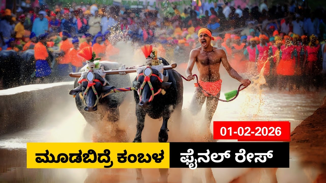 Moodabidre Kambala  Final race 2026 | ಮೂಡಬಿದ್ರೆ ಕೋಟಿ ಚೆನ್ನಯ ಕಂಬಳ ಫೈನಲ್ ರೇಸ್