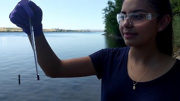 2019 Protocol for WHONDRS Summer Sampling Campaign: Surface Water and Sediment