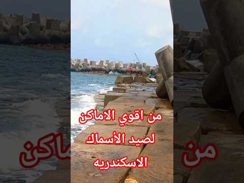 من اقوي الاماكن للصيد بالبوصه اليد في الاسكندريه
