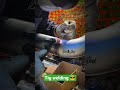 #welding #welder #motivation #tigwelding #viral #trending #shorts #viralvideo #shortvideo #jobs #tig