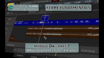 Flame Fundamentals - Module 4 - Part 07 - What Segment Colour are you?