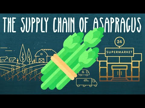 The Epic Journey of Food Process Explained Simply Food Supply Chain