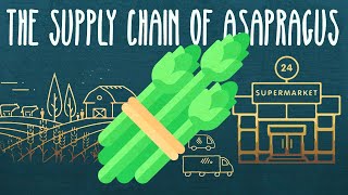 The Epic Journey of Food | Process Explained Simply | Food Supply Chain