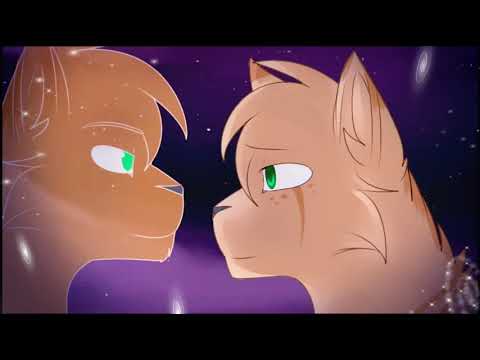 Warrior Cats Tribute - Between The Raindrops
