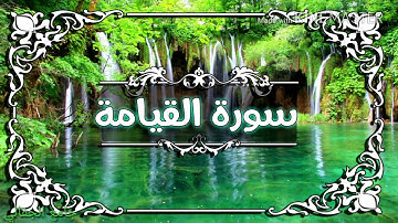 جامع الجفالي سورة القيامة الشيخ محمد نور