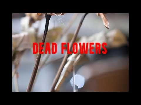 Dead Flowers - Rolling Stones