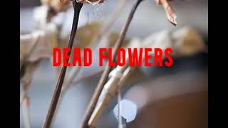 Dead Flowers - Rolling Stones