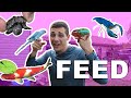 Feeding All Of My Animals on Video!!