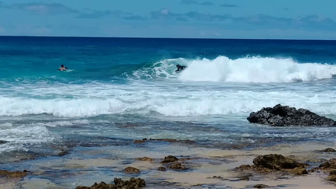 662 Ride Shop | Darrel the Barrel | Ally Swin Fins | Science Bodyboards |