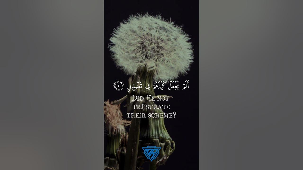 Surah Al Fil Raad Mohammad Al Kurdi Beautiful Recitation