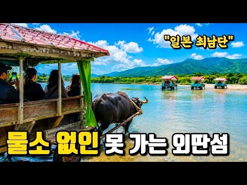 일본에 아직 이런 곳이 있습니다... 물소 타고 들어가는 섬