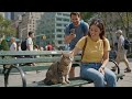 Cats Play with Tourists in New York City