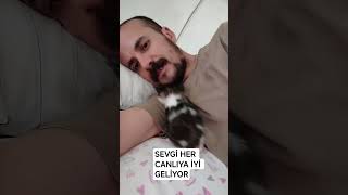 Seveceksen Çıkarsız Menfaatsiz Adam Gibi Seveceksin