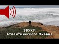 Звук Океана | Атлантический Океан | Португалия, Кашкайш