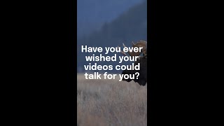 AI Text to Speech | Voiceovers in one click