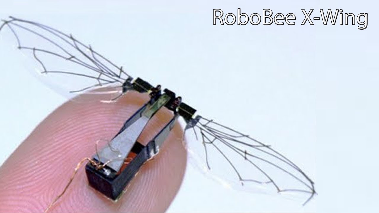 RoboBee X-Wing Tiny Flying Robot, 4 Wings & Weighs Under A Gram & Fly Using Its Own Power. - YouTube