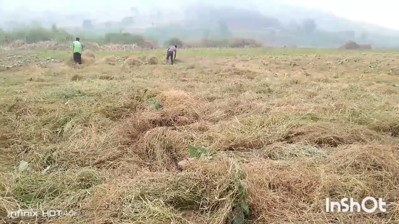 Ukowategura ubuhinzi bwintoryi muncamake p8 ukeneye ubundibusobanuro📞 0722401778 