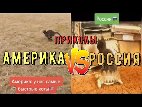 АМЕРИКА VS РОССИЯ | Приколы из Тик Тока | СМЕХ ДО СЛЕЗ СМЕШНЫЕ ПОДБОРКИ | ржака приколы 2020 |